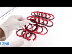 SPGO Glyd Seal HBTS Step Seal